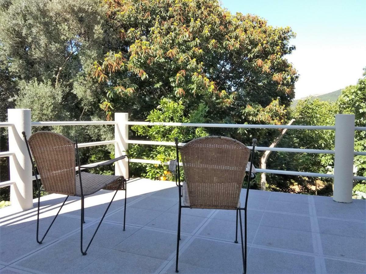 Casas Do Caminho Velho Apartment Ribeira de Pena Ngoại thất bức ảnh